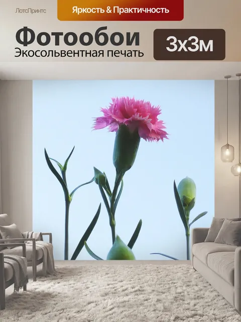Фотообои Гвоздика