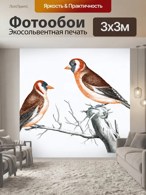 Фотообои Птица старое винтажное искусство