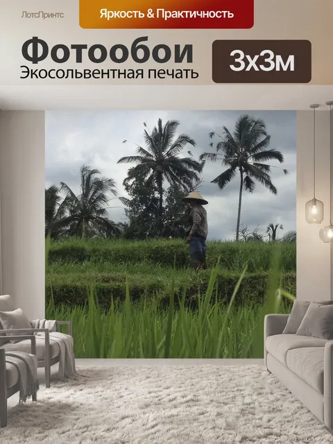 Фотообои Индонезия