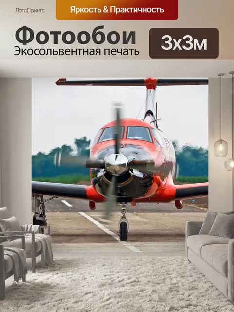 Фотообои Перед взлетом