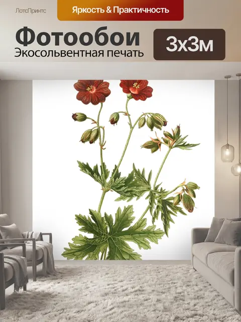 Фотообои Винтажные иллюстрации искусства цветы