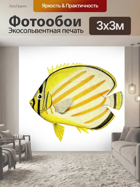 Фотообои Рыба-бабочка Винтажное искусство