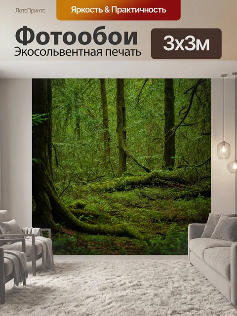 Фотообои лес с густым подлеском и уютными местами для отдыха