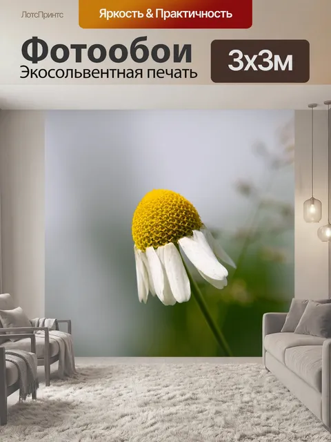 Фотообои Дейзи