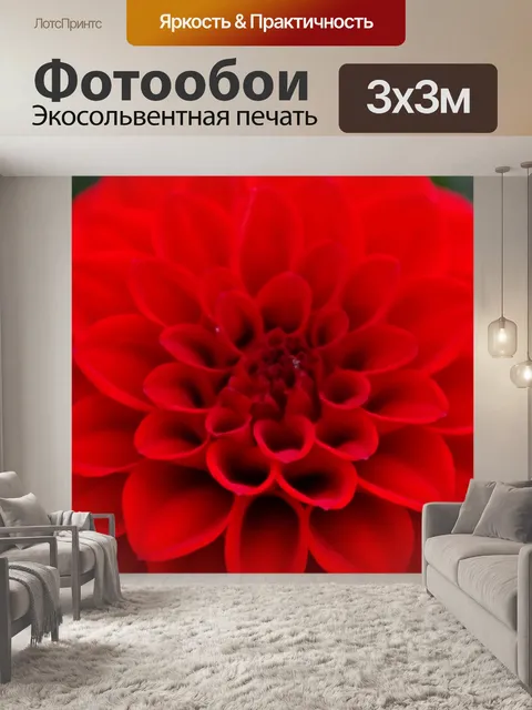 Фотообои Красный Далия