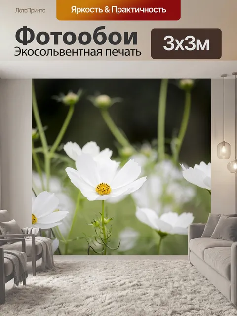 Фотообои Космос