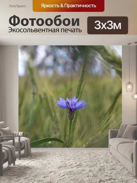 Фотообои Поле