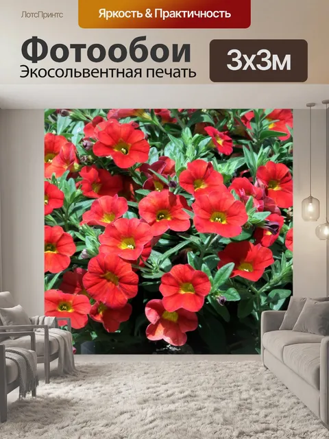 Фотообои Красные петунии