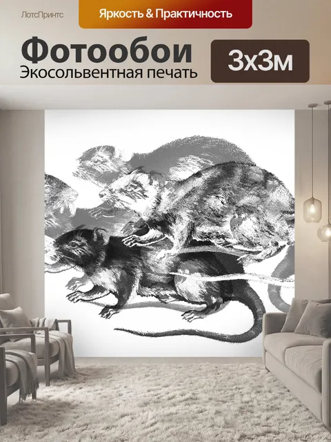 Фотообои Крысы