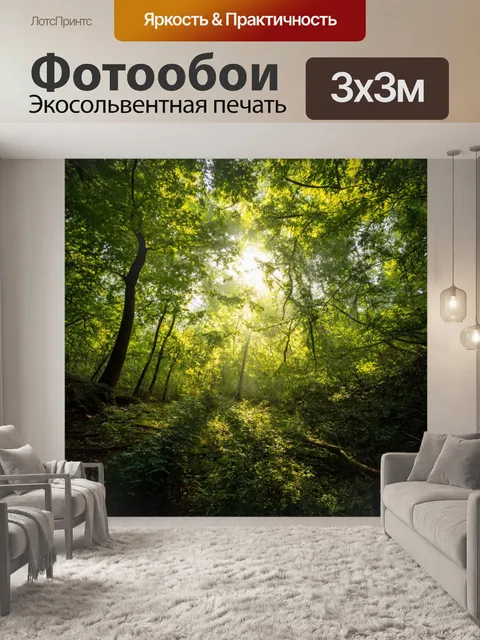 Фотообои лес с мягким светом, пробивающимся сквозь листву