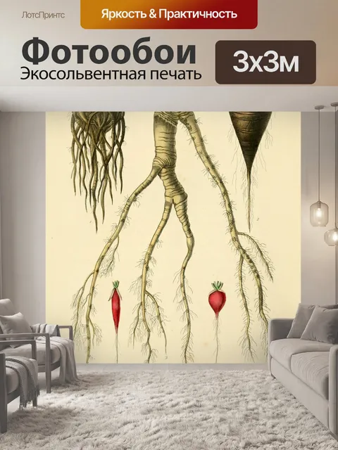 Фотообои Сад овощи винтаж старый