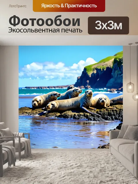 Фотообои серые тюлени собираются на каменной отмели во время отлива