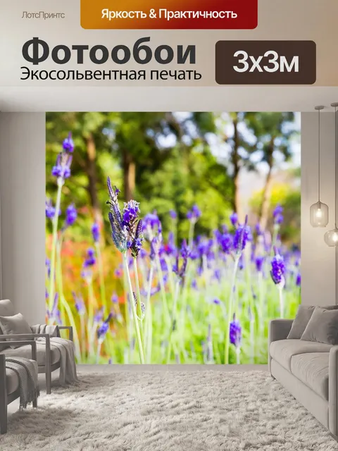 Фотообои Тайвань