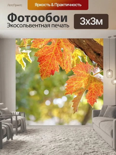 Фотообои Осень