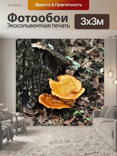 Фотообои Джек-о-Фонарь Грибы и Дерево