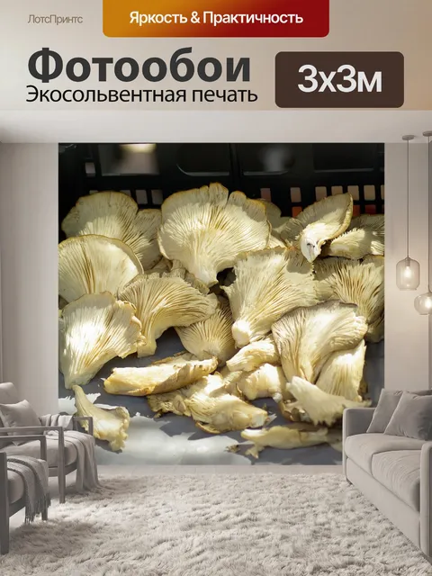 Фотообои Грибы