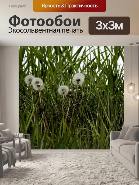 Фотообои Одуванчики