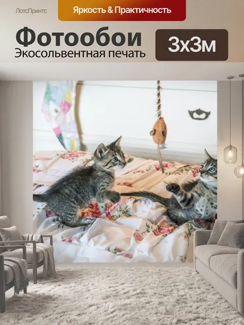 Фотообои Котята