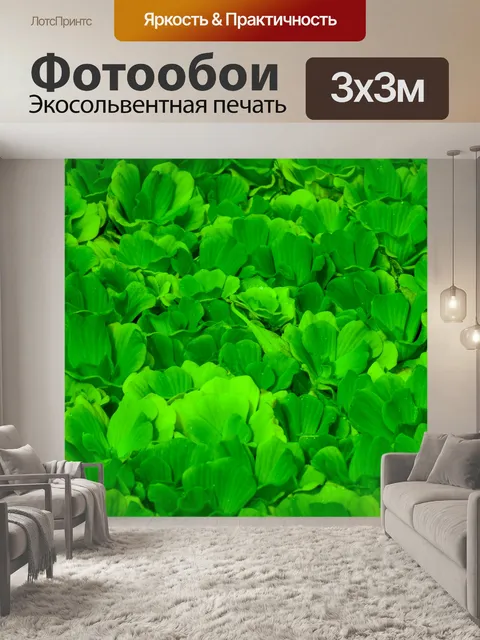 Фотообои Зеленые растения фон