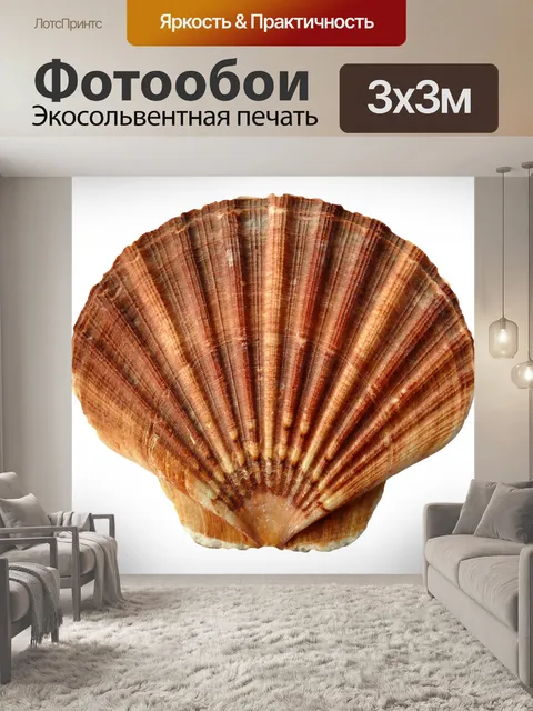 Фотообои Океанский моллюск