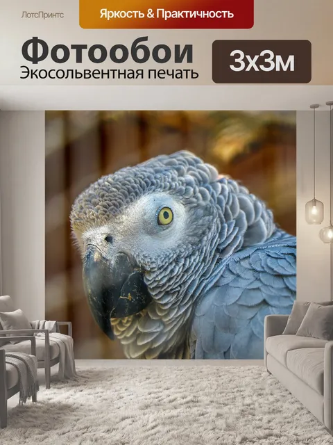 Фотообои Птица