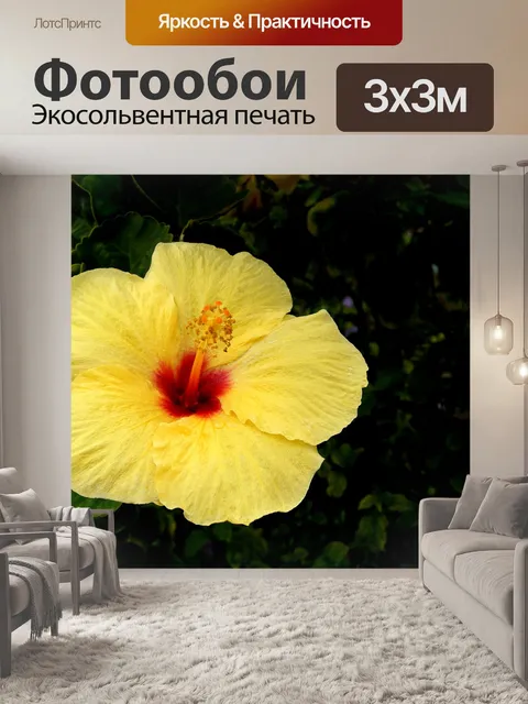Фотообои Желтый цветок гибискуса