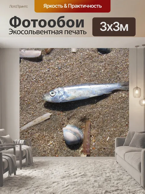 Фотообои Маленькая рыба