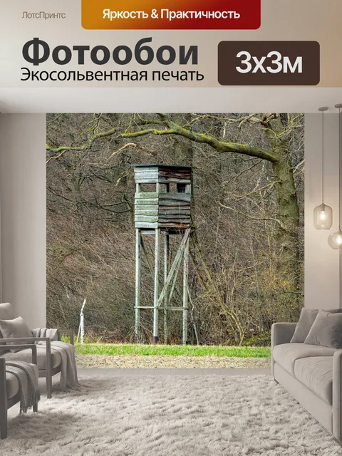 Фотообои Опушка леса