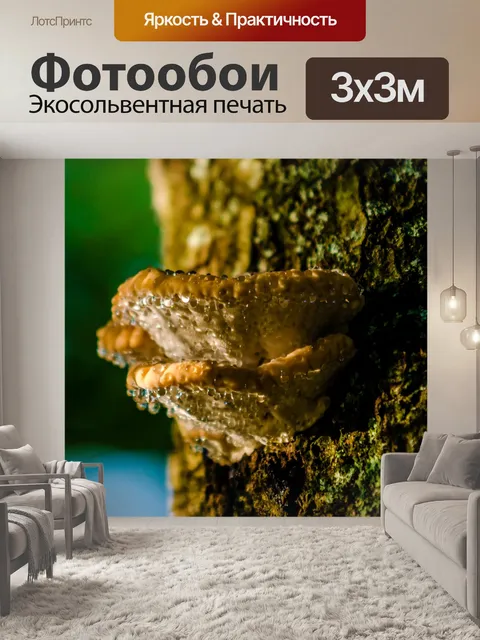 Фотообои Гриб на дереве