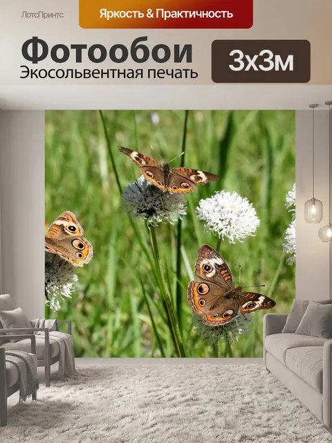 Фотообои Три бабочки Баки в поле