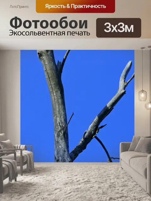 Фотообои часть мертвого дерева против голубого не