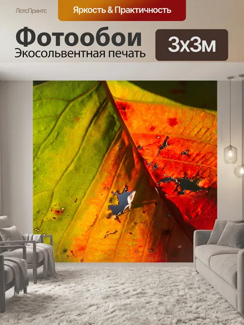 Фотообои Лист