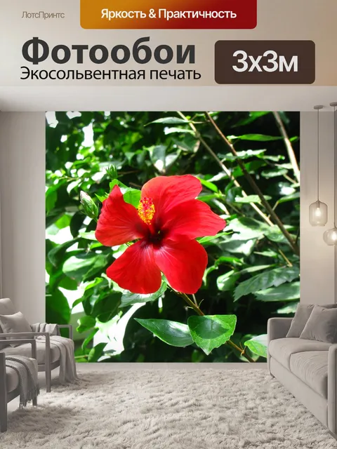 Фотообои красный цветок