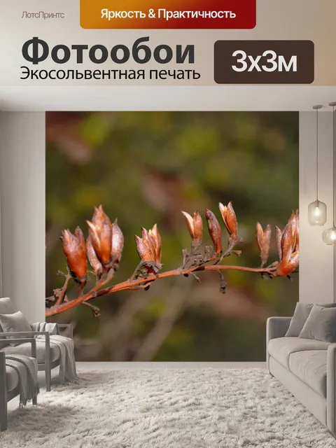 Фотообои Природа