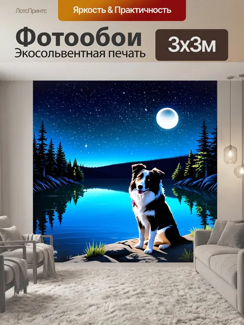 Фотообои ночной пейзаж с бордер-колли, сидящим на берегу озера под звездным небом, отражающимся в воде