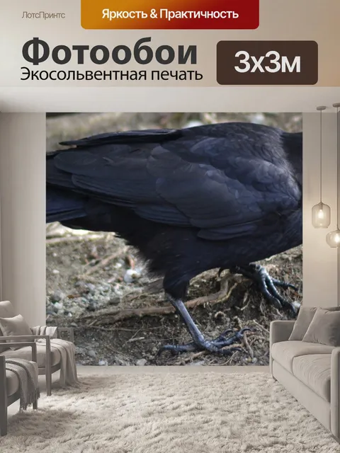 Фотообои Черный ворон 2