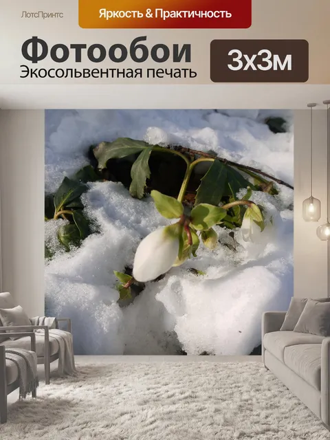 Фотообои Подснежник