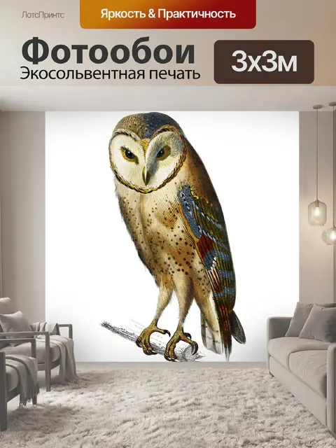 Фотообои Сипуха Винтаж клипарт искусство