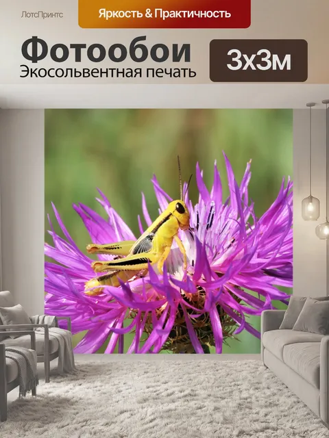Фотообои Желтый кузнечик на фиолетовый цветок