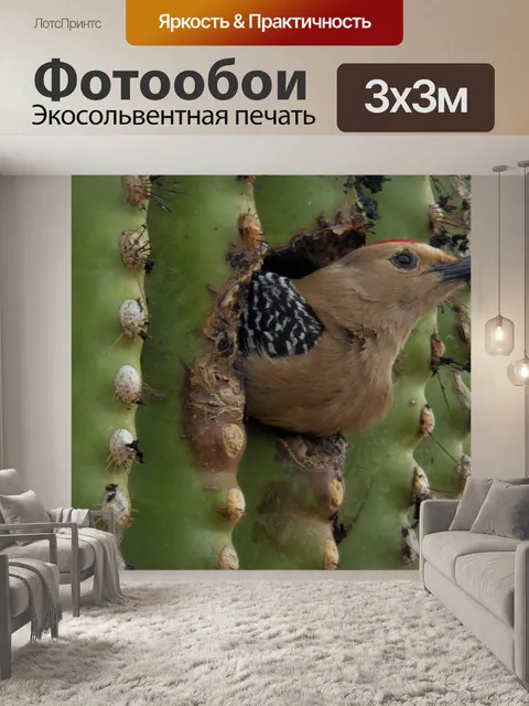 Фотообои Птица внутри сагуарового кактуса