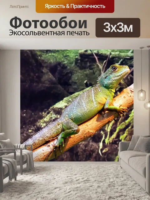 Фотообои Китайский язык