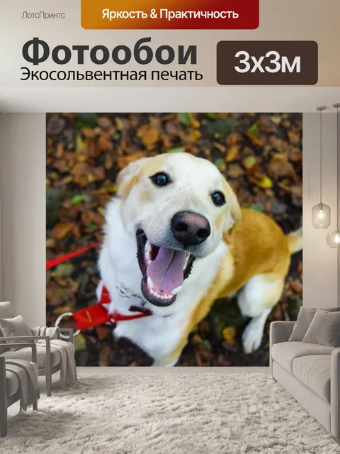 Фотообои Осень