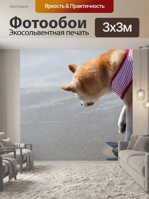 Фотообои Собака