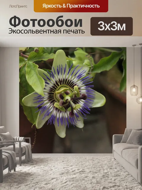 Фотообои Цветок страсти