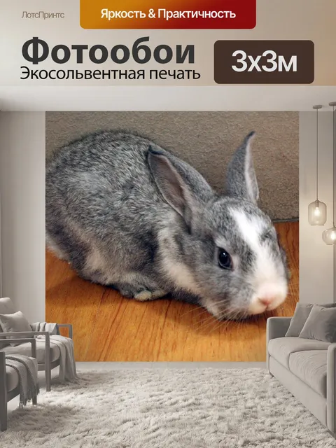 Фотообои кролик