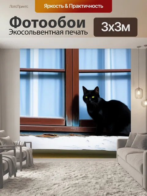 Фотообои чёрный кот на окне старого дома