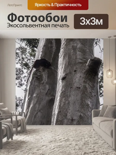 Фотообои Деревья