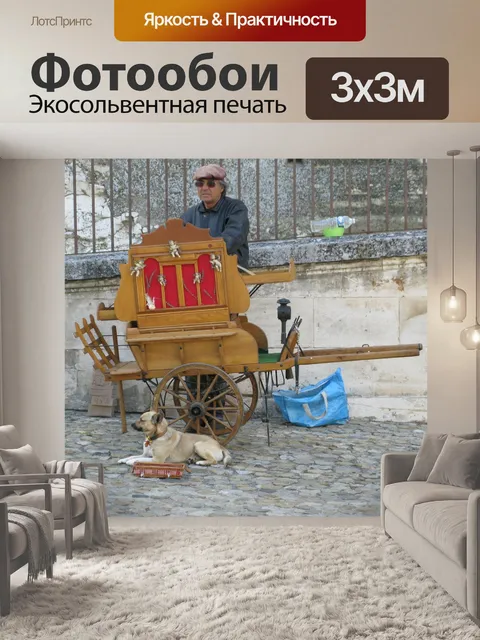 Фотообои Прованс