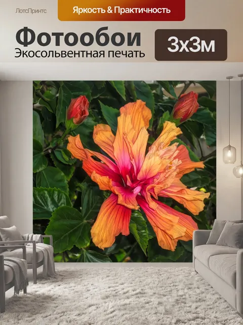 Фотообои Сад