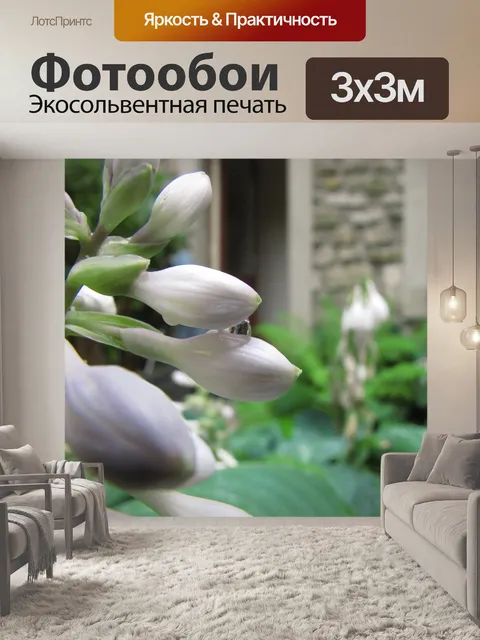 Фотообои Белые бутоны